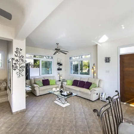 Mesogeios 39 Паралимни